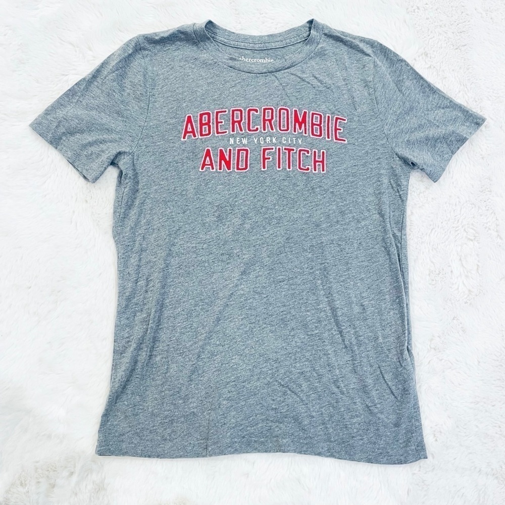 Abercrombie and Fitch Kids Embroidered Logo Gray Short Sleeve Crewneck T-Shirt